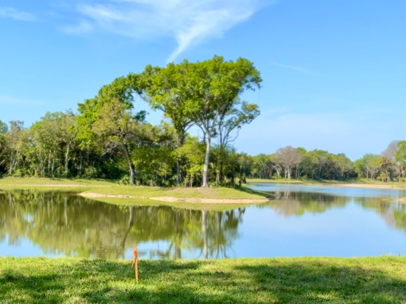 Parque MacDill